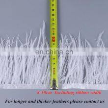 1 Meter Multicolor Real Ostrich Feather Trims Ribbon 8-10cm White Ostrich for Dress Clothing Decoration Sewing Feathers Crafts thumbnail-4