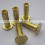 Copper Plating Head Stainless Steel Hollow Rivets