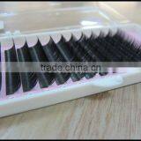 Eyelash Extensions in Korea