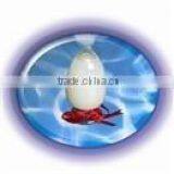 Best Price High Pure Polyacrylamide/pam for Wastewater Treatment