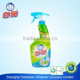 Glass Cleaner 500g