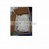 THAI AO CHI FRUIT 'S HIQH QUALITY FROZEN DURIAN MONTHONG FROM THAILAND thumbnail-3