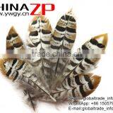 CHINAZP Bulk Sale Selected Prime Quality Natural 5-10cm Size Reeves Venery Pheasant Feathers for DIY Decorations thumbnail-4
