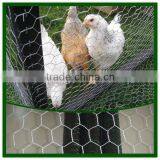 1/2'',1/4'',3/4''hexagonal Wire Mesh/chicken Wire /hexagonal Wire Netting