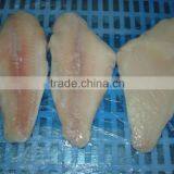 FROZEN PANGASSIUS FILLET thumbnail-1