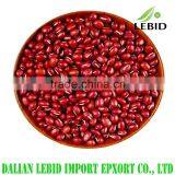 New crop high quality adzuki beans