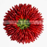 dried/red chilli/pepper -- 2012 hot sale-purchase quickly