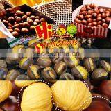 Hot Sale Hebei New Crop Fresh Chestnut Nuts thumbnail-6
