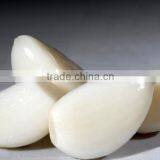 Hot Sale Fresh Chinese Normal White Garlic thumbnail-2