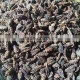 Black Cardamom Wholesale thumbnail-2