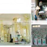 Beihai Green Kingdom Biology And Landscape-Creating Co., Ltd. company overview - view 3 thumbnail