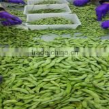 High quality Chinese Frozen Edamame IQF Green Soybeans