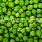 Canned Green Peas List of Preserved Foods thumbnail-1