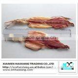 Export Dried Whole Round Squid