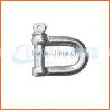 Factory Price Customized 304 Stainless Steel d Shackle thumbnail-5