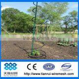 Spiral Tomato Plant Stakes thumbnail-1