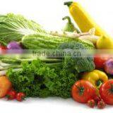 Ginger, Ginger, Ginger, Ginger, Ginger, Ginger, Ginger, Ginger, Ginger, Ginger, Ginger, Ginger, Ginger, Ginger, Cleaning, Peelin thumbnail-4