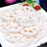 Garlic Slicer Machine thumbnail-3