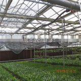 Green Houses for Agriculture thumbnail-5