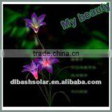 Solar Garden Flowers thumbnail-1