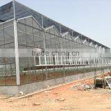 Galvanized Steel Structure Tempered Glass Greenhouse/Hydroponics Greenhouse/Commercial Greenhouse thumbnail-4