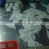 IQF U5 Pacific Squid Tube thumbnail-2