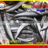 FROZEN BARRACUDA FISH W/R thumbnail-1