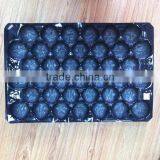 Popular Whole Kroger PP Plastic Fruit and Vegetable Display Trays thumbnail-6