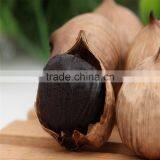 Henan Fresh Black Garlic is Healthy and Natural!!!Fermented Garlic thumbnail-1