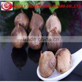 2016 Health Delicious Food And100% Fermented Solo Blackgarlic--HC Company thumbnail-1