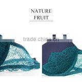 Net Western Style Underwear White Sexy Lace Bra Transparent Lace Bra thumbnail-2