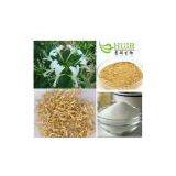 Chlorogenic Acid thumbnail-1