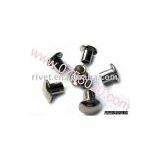 Iron Rivet thumbnail-1
