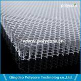 Pc6.0 Honeycomb Panel Available Transparent And In Colors Apply Into Energy Absorbing Structures thumbnail-1