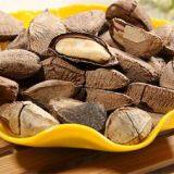 Машина для сушки фруктов типа абалон thumbnail-4