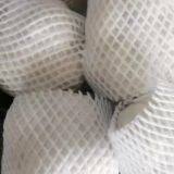 Fresh Cauliflower thumbnail-5