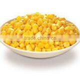Frozen Yellow Sweet Corn Seed From Vietnam/ Corn for Eating