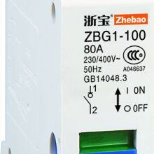 ZBG1-100 1P MCB Miniature Circuit Breaker thumbnail-1