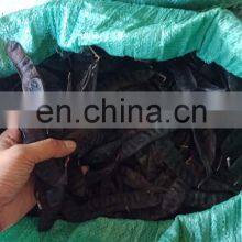 Dried Gleditsia/Caesalpinioideae/boket From Vietnam thumbnail-2