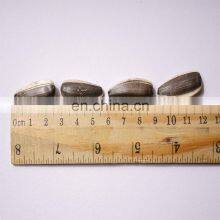 Salted Sunflower Seeds for South Africa thumbnail-5