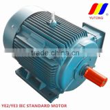 YE2 series three-phase squirrel cage induction motor