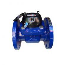 65mm Irrigation Cast Iron Cold Woltmann Water Meter