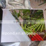 Thickness 2mm-8mm Glass Mirror