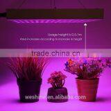 Companies Looking for Partners CE RoHS Approved Cheap Square 45W 225 Hans Panel LED Grow Light for Veg Fruit Bloom Lights thumbnail-6