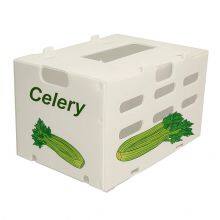 Wholesale Corrugated Plastic / Coroplast Boxes for Fruit and Vegetable thumbnail-3