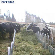 Slow Animal Feeders Deer Horse Sheep Feeder thumbnail-6