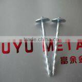 Galvanized Roofing Nails With Umbrella Head/umbrella Head Nails /galvanzied Roofing Nail