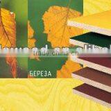 Top Quality Film Faced Plywood thumbnail-3