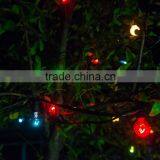 UL E12 / String Lights for Patio, Party and Holiday / String Lights Outdoor thumbnail-3