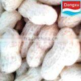 Raw Peanuts in Shell